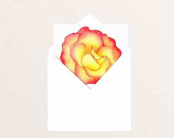 Yellow rose square greeting card