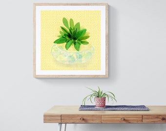 Succulents in bowl framed print