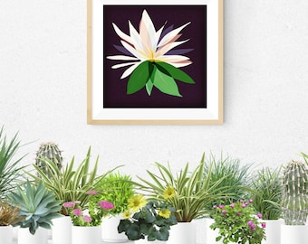 Water lily framed art print