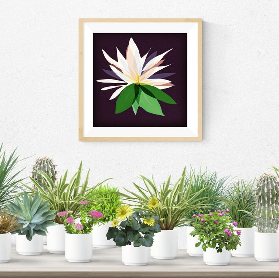 Water lily framed art print