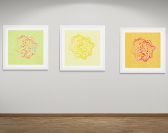 Trio of Mandala framed prints