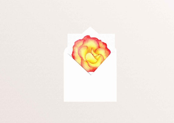 Yellow rose square greeting card