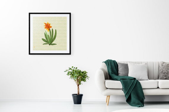 succulent  framed art print