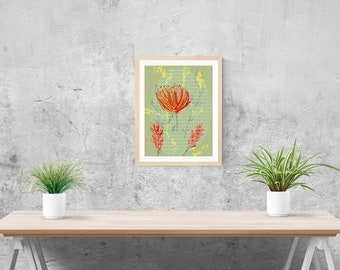 Grevillia and bottlebrush floral  art print