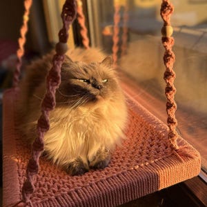 XXL window perch for large cats | Maine Coon cat bed | Sturdy hammock made of natural material | Handmade cat bed image 16