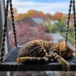 XXL window perch for large cats | Maine Coon cat bed | Sturdy hammock made of natural material | Handmade cat bed image 12