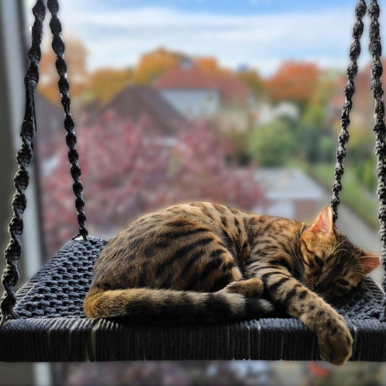 XXL window perch for large cats | Maine Coon cat bed | Sturdy hammock made of natural material | Handmade cat bed image 12