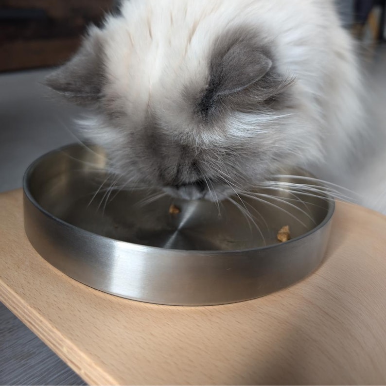 May include: A white and grey cat with blue eyes eats from a stainless steel pet bowl on a light wood surface.