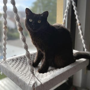 XXL window perch for large cats | Maine Coon cat bed | Sturdy hammock made of natural material | Handmade cat bed image 14