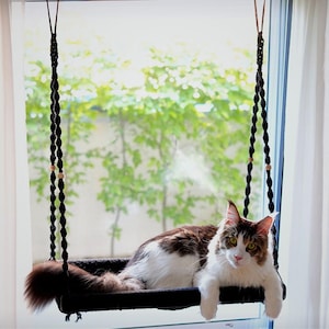 May include: A black macrame cat window perch with a brown and white cat resting inside. The cat swing is suspended by black rope and wooden beads. The cat is looking at the camera with its paws hanging over the edge of the perch.