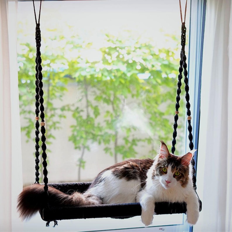 May include: A black macrame cat window perch with a brown and white cat resting inside. The cat swing is suspended by black rope and wooden beads. The cat is looking at the camera with its paws hanging over the edge of the perch.