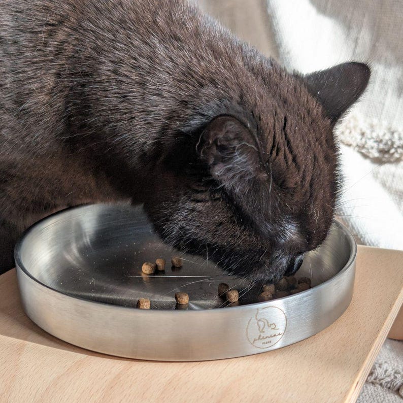 May include: A black cat eating dry cat food from a stainless steel bowl. The bowl has a raised rim and a logo that says "De Place" on the bottom.
