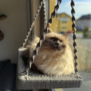 Cat window perch with window hook | Cat bed for the window | Window perch cat furniture | Personalized with nameplate - Phinias Place