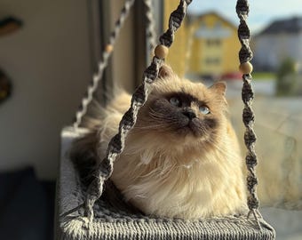 Cat window perch with window hook | Cat bed for the window | Window perch cat furniture | Personalized with nameplate - Phinias Place