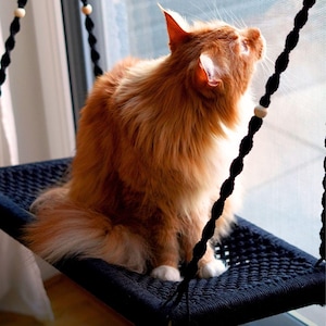 May include: A fluffy, orange cat sits on a black woven cat hammock suspended by black rope with wooden beads. The cat is looking up, with its ears perked, near a window. The hammock is a cozy spot for the cat to relax and observe its surroundings.