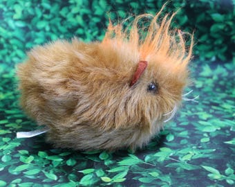 Punk Guinea Pig, a Pig with Attitude!  No. 446