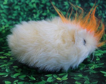 Punk Guinea Pig, a Pig with Attitude!  No. 444