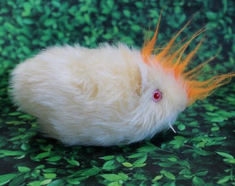 Punk Guinea Pig, a Pig with Attitude!  No. 443