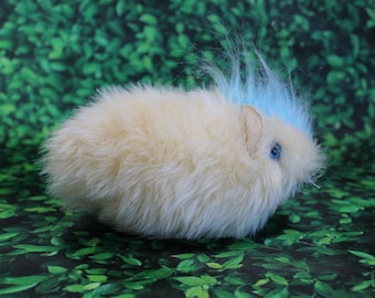 Punk Guinea Pig, a Pig with Attitude!  No. 441