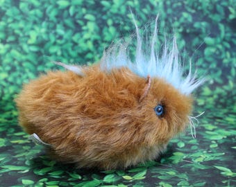 Punk Guinea Pig, a Pig with Attitude!  No. 445
