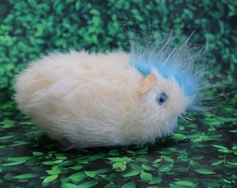 Punk Guinea Pig, a Pig with Attitude!  No. 442