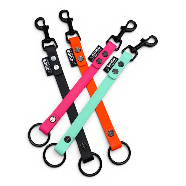 May include: Four short dog leashes in black, orange, hot pink, and mint green. Each strap features a black metal swivel snap hook at one end, a black metal O-ring at the other, and a black fabric tag labeled DINOS PFOTENGL&Uuml;CK with silver rivets.