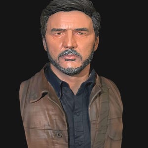 joel miller/Pedro pascal the last of us