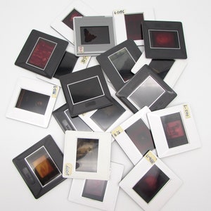 20 Art History Vintage Glass Slides - Art Appreciation - GRAB BAG - Educational - Photo Slides - 35mm Slides - paintings - sculpture