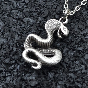 Op de afbeelding: Een zilveren slangenhangerketting met een gedetailleerd, opgerold slangendesign. De ketting is aan een zilveren ketting.