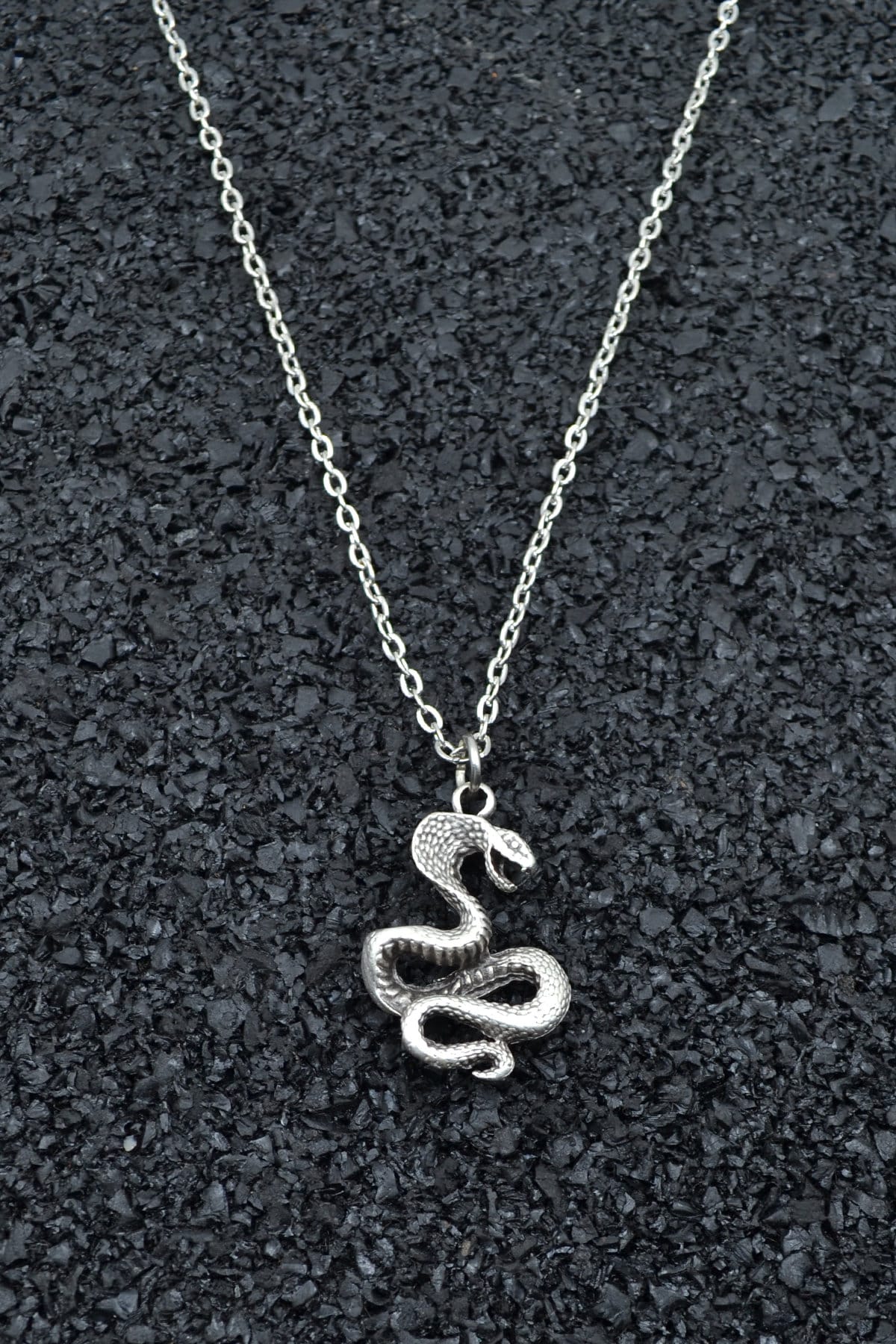 Snake Men Women Silver Necklace Personalizable Different