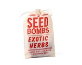 SALE! Seed Bombs - Exotic Herbs - Grow Your Own Cinnamon Basil, Lemon Mint and Lime Basil