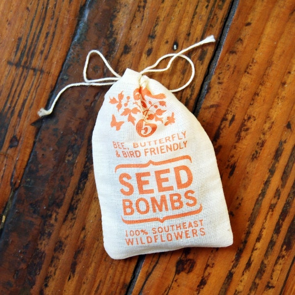 Seed Bombs - Southeast Bird Bee and Butterfly Friendly DIY Guerrilla Gardening Seeds Seed Balls