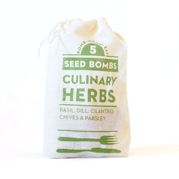 Herb Seed Bombs - Edible Indoor or Outdoor Gardening to Grow Basil, Cilantro, Chives, Dill, and Parsley