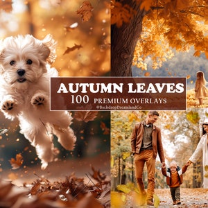 Puede incluir: Una colección de 100 superposiciones de hojas de otoño de primera calidad para edición digital. Las superposiciones presentan diversas formas, tamaños y colores de hojas, perfectas para agregar un toque de otoño a tus fotos. #HojasDeOtoño #SuperposicionesDeFotos #VibracionesDeOtoño