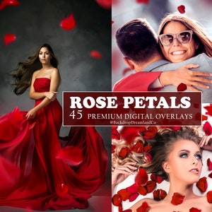 45 Red ROSE PETALS Falling Petals Romantic Maternty Overlays Wedding Photoshop Overlays Valentine's day Maternity Digital backdrops PNG