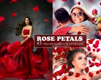 45 Red ROSE PETALS Falling Petals Romantic Maternty Overlays Wedding Photoshop Overlays Valentine's day Maternity Digital backdrops PNG