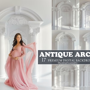17 ANTIQUE ARCH Digital Backdrops Maternity Backdrop Overlays Studio Backdrop Overlays Fine Art Textures Fine Art Photoshop Overlays Floral