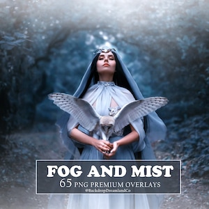 65 Fog Overlays, Photoshop Mist Overlays, Fog Effect PNG, Smoke Digital Backdrops, Photo Editing Overlays, Foggy Overlay for Photography