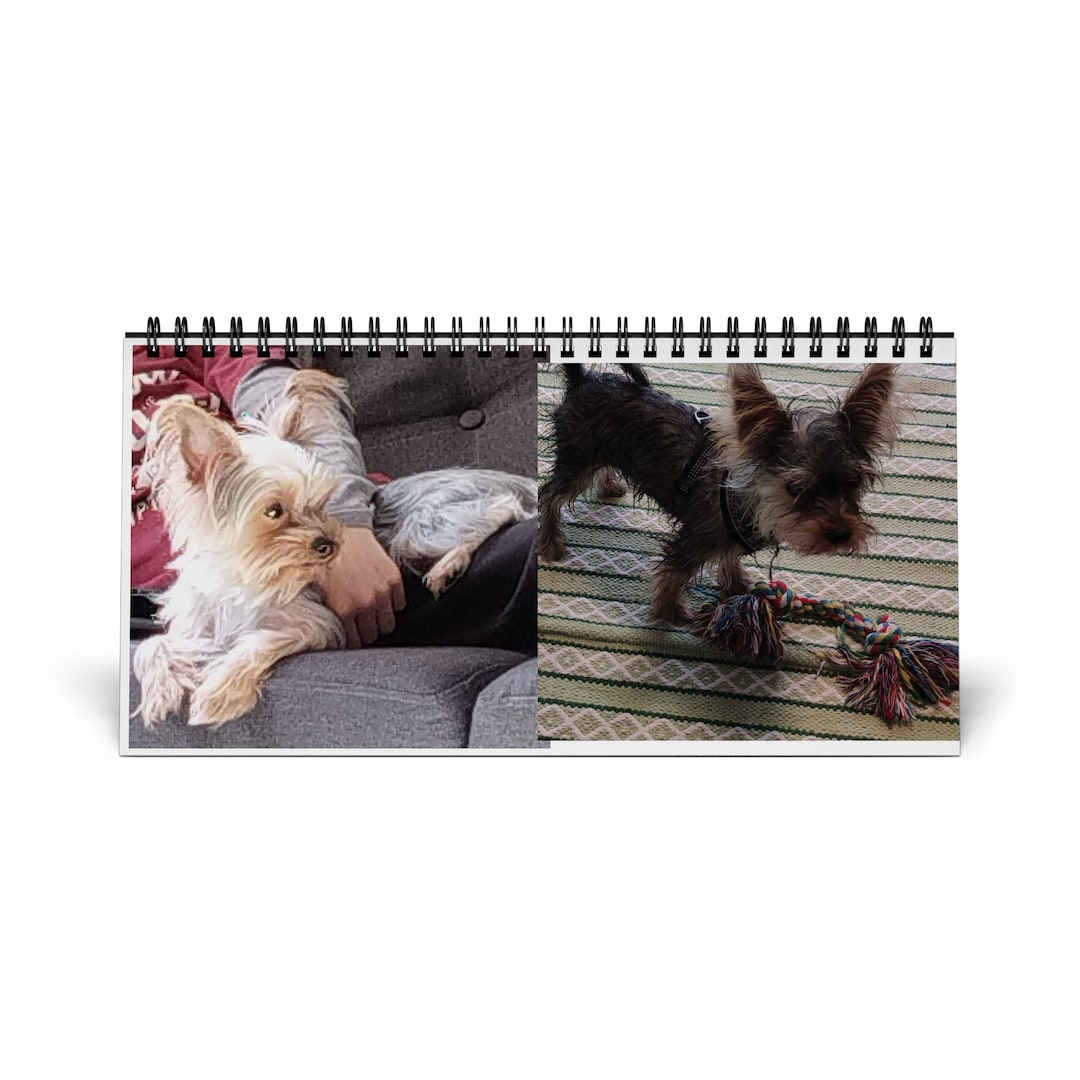 Simplex Doggy Desk Calendar 2024 Grid - Etsy