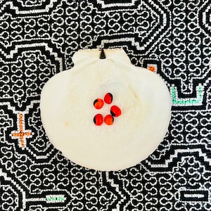May include: A white seashell with a smooth, rounded surface. Five red and black seeds are arranged in the center of the shell.