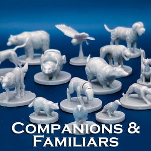 Pack compagnons et familiers | Lot de 14 figurines de démarrage - Lot de mini-bundle miniatures de table D&D D&D à l&#39;échelle 28 mm