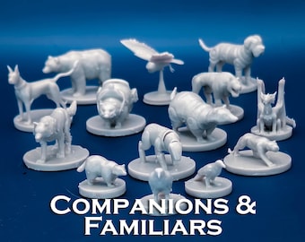 Companions and Familiars Pack | 14 Miniatures Starter Set - 28mm Scale DnD D&D Tabletop Miniature Mini Bundle Pack Lot