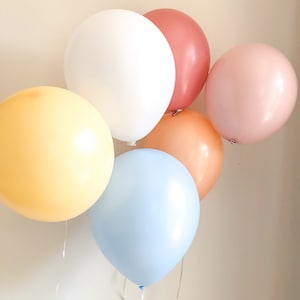 Groovy Bouquet Luxe Balloons  | Retro party decor, Neutral Baby Shower |Neutral Bridal Balloons |Summer Party Balloons\Trip around sun