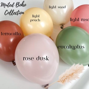 Individual Boho Matte Luxe Balloons  | Groovy Birthday Party decor  Baby Shower Neutral Balloons  | Bridal Shower Decor| 6 pieces