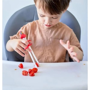 子供用トレーニング箸 - 初心者向けの使いやすく楽しい学習箸、幼児用箸、子供と大人向けの再利用可能な箸
