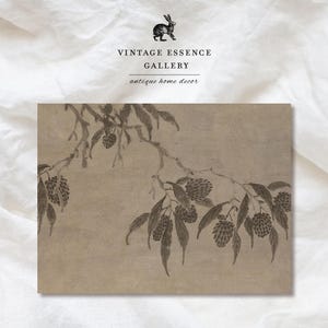 Puede incluir: Impresión rectangular con una ilustración botánica en tonos sepia de una rama de árbol con hojas y frutos en forma de cono. La impresión está sobre un fondo neutro. La parte superior de la impresión tiene un logotipo con un conejo y el texto "VINTAGE ESSENCE GALLERY antique home decor."