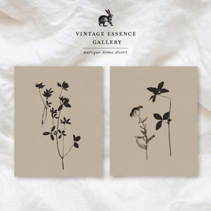 vintage silhouettes botaniques | Ensemble de 2 illustrations antiques d'herbier | Art mural neutre floral minimaliste | Fleurs noires à imprimer