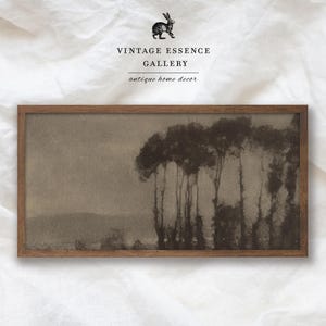May include: A vintage black and white photograph of a woodland scene. The trees are silhouetted against a cloudy sky. The image is framed in a dark wood frame. "Vintage Essence Gallery" and "antique home decor" are printed below the image.