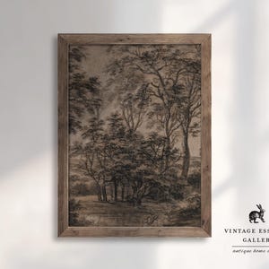 May include: A black and white vintage print of a forest scene with trees and foliage. The print is framed in a dark wood frame.