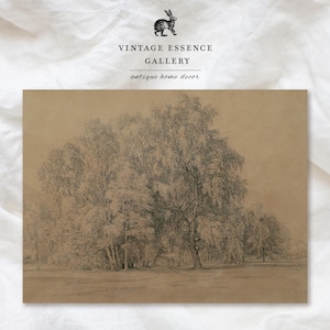 May include: A vintage black and white drawing of a group of trees in a forest. The drawing is on a brown paper background. The text "Vintage Essence Gallery" and "antique home decor" is printed at the top of the image.